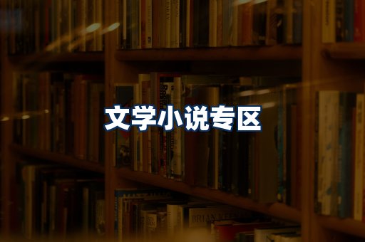 文学小说PDF展示